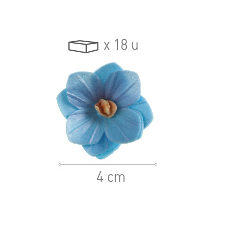flor de bolacha azul