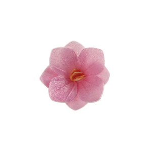 18 flores-de-hóstia-rosa