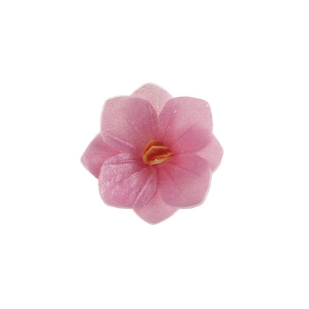 18 flores-de-hóstia-rosa