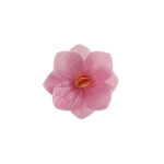 18 flores-de-hóstia-rosa