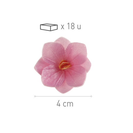 18-flores-de-hóstia-rosa-4-cm