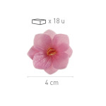 18-flores-de-hóstia-rosa-4-cm