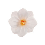 18 flores de hóstia branca
