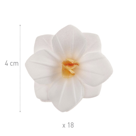 18 flores de hóstia branca de 4 cm