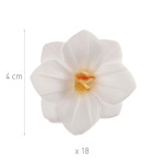 18 flores de hóstia branca de 4 cm
