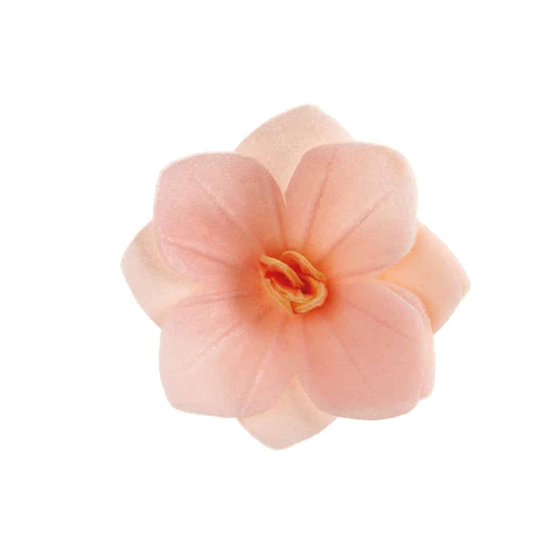 18 flores de bolacha rosa claro
