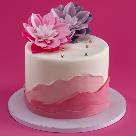 Flor de nenúfar rosa