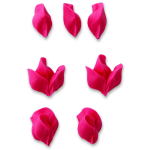 use soquete wilton 104