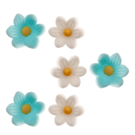 flores azuis e brancas