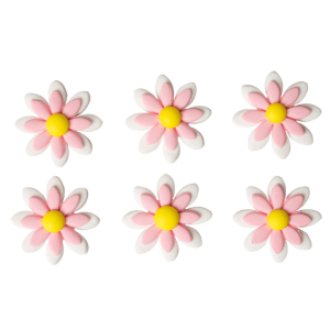 Margarida-de-açúcar-rosa