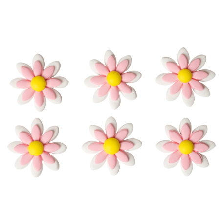 Margarida de açúcar branca e rosa