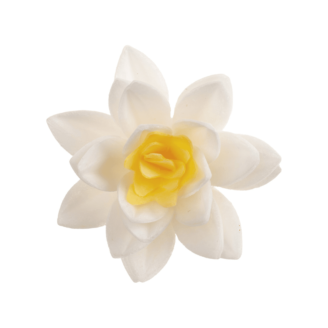 10 flores de hóstia branca Dekora