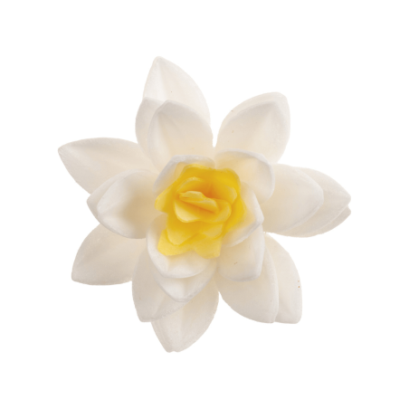 10 flores de hóstia branca Dekora