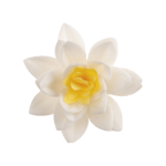 10 flores de hóstia branca Dekora