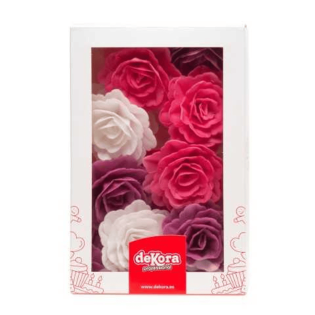 rosas brancas, lilases e rosa