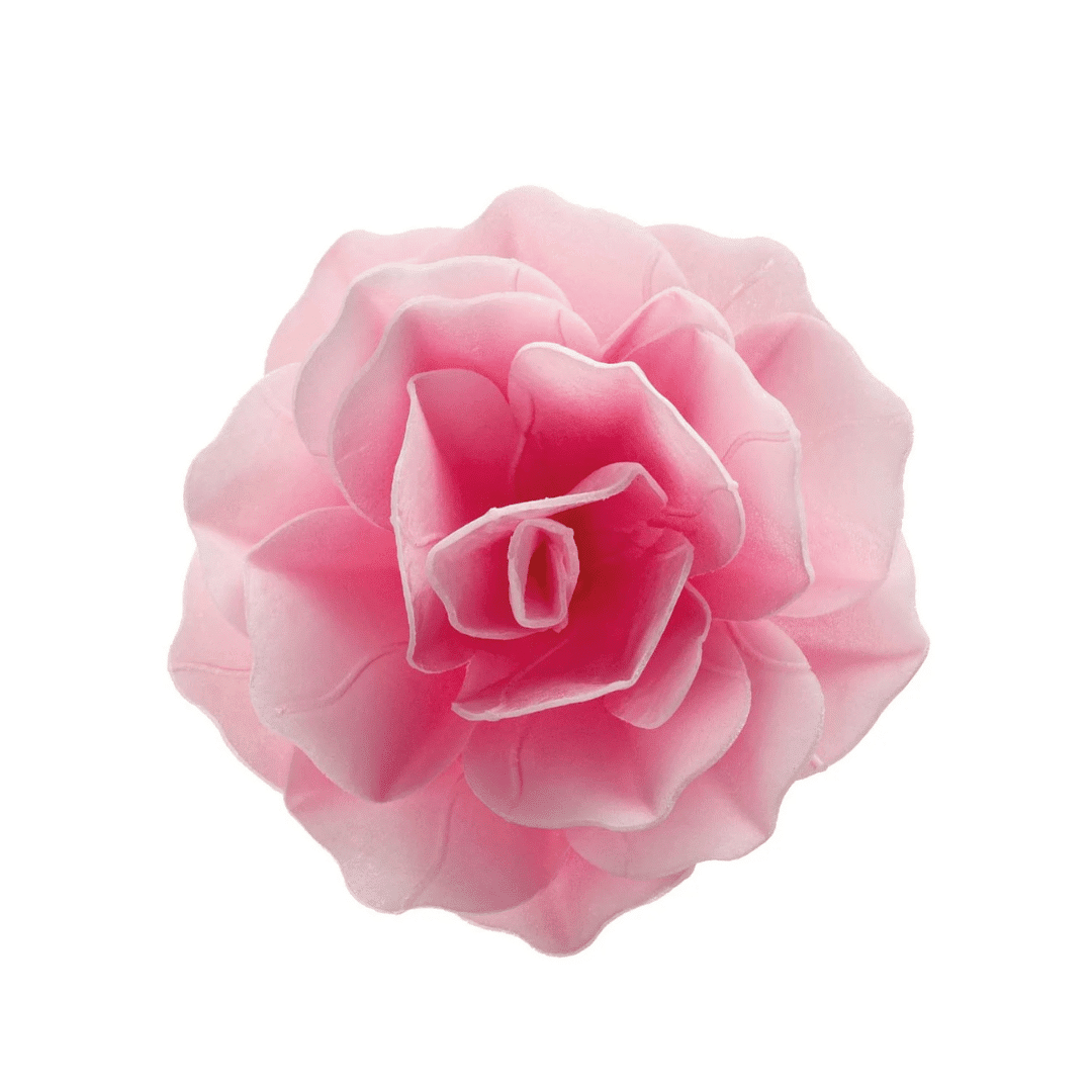 flor de rosa-hóstia