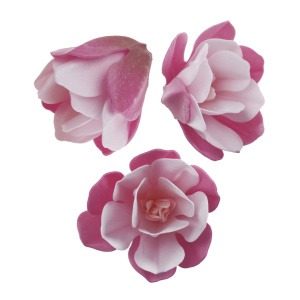 6 flores de magnólia rosa e branca