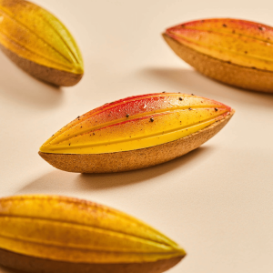 6 forminhas ovais para torta Silikomart com cortador de biscoitos