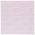 Folhas de papel manteiga para bolos bento - 25 x 25 cm