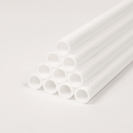 cavilhas LOYAL 8x300 mm