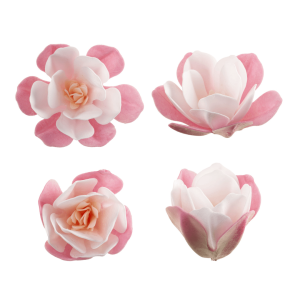 6 Magnólias Rosa e Brancas em Wafer 6,5 cm para Decoração de Bolos