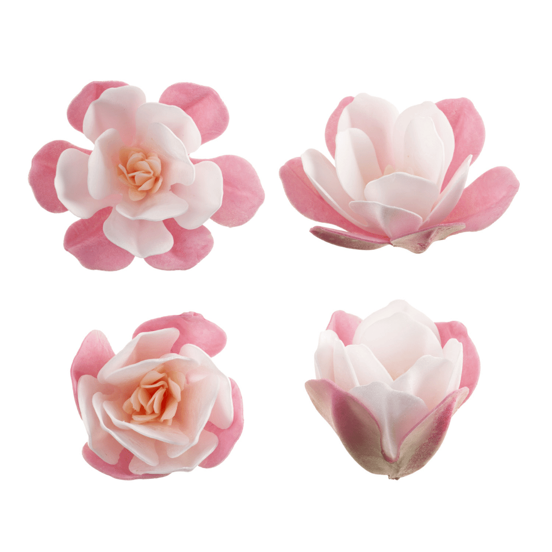 6 Magnólias Rosa e Brancas em Wafer 6,5 cm para Decoração de Bolos