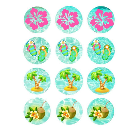 12-Mini-discos-de-açúcar-cupcakes-vaiana