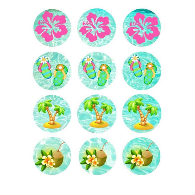 12-Mini-discos-de-açúcar-cupcakes-vaiana