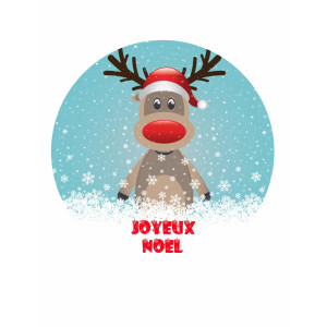 Disco-de-açúcar-de-natal-20-cm