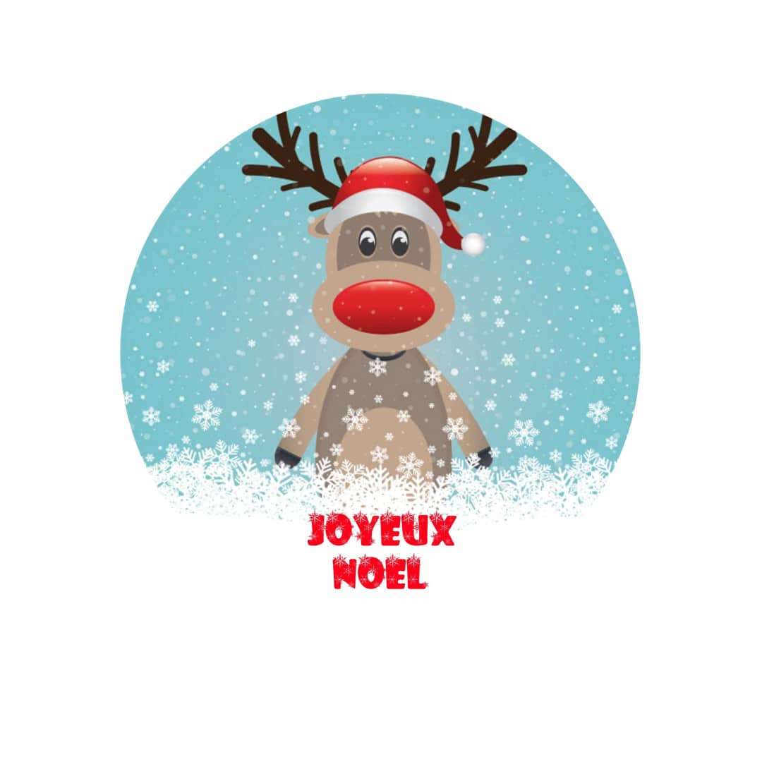 Disco-de-açúcar-de-natal-20-cm