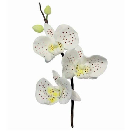 conjunto de 3 cortadores de orquídeas de 8 cm
