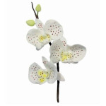 conjunto de 3 cortadores de orquídeas de 8 cm