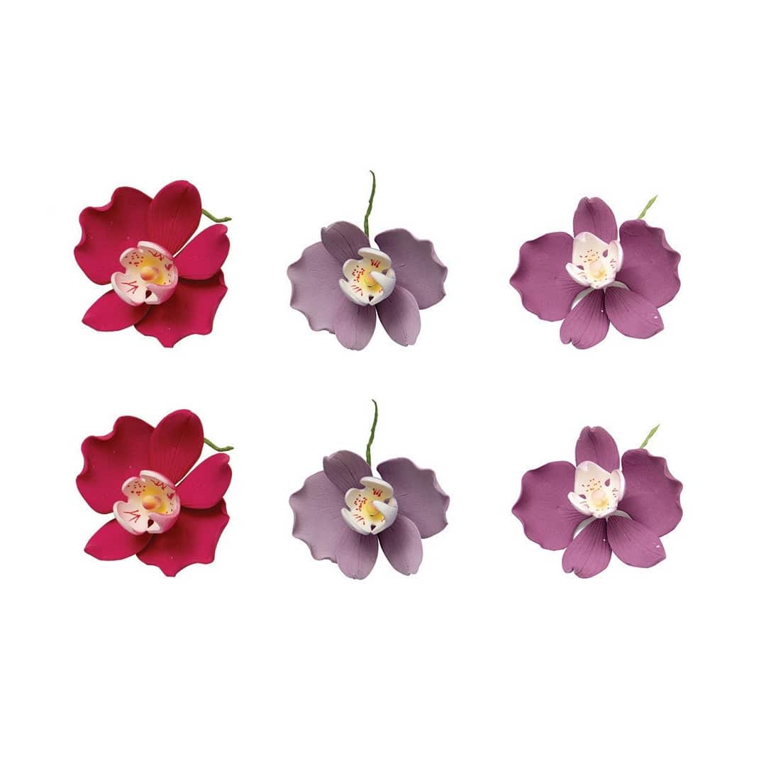 6-flores-de-orquídea-em-açúcar-75cm