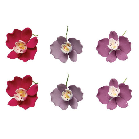 6-flores-de-orquídea-em-açúcar-75cm