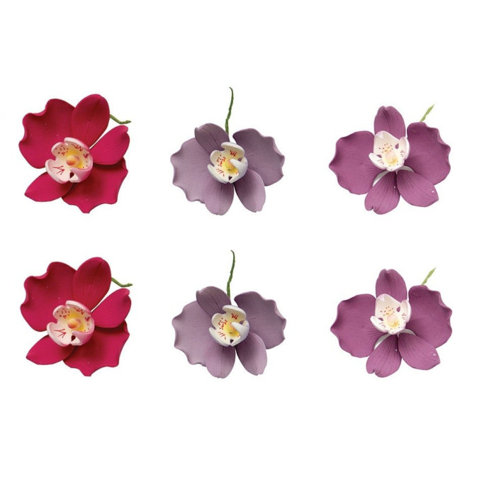 6-flores-de-orquídea-em-açúcar-75cm