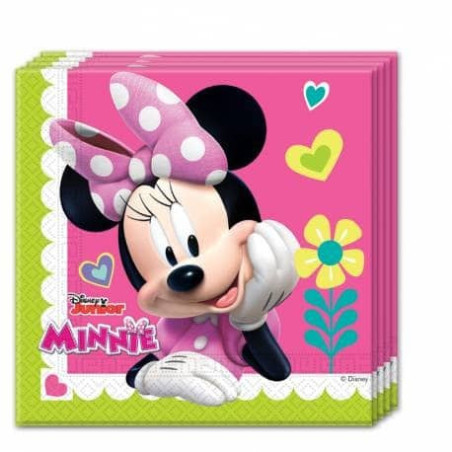 20-serviettes-Minnie