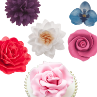 image-Flores de açúcar